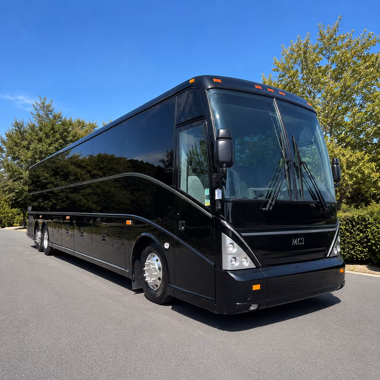 burnsville 56 passenger charter bus
